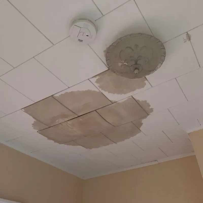 Ceiling Water Damage Repair in Slope County, ND
