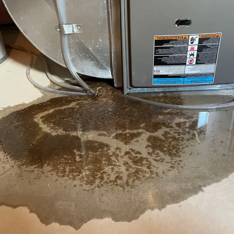 Pipe Burst and Leak Restoration in Slope County, ND